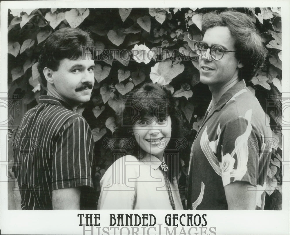 1987 Press Photo Music group "The Banded Geckos" - hcp00515