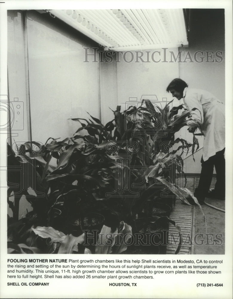 1985 Press Photo Shell scientist in a temperature controlled plant chamber, CA.- Historic Images