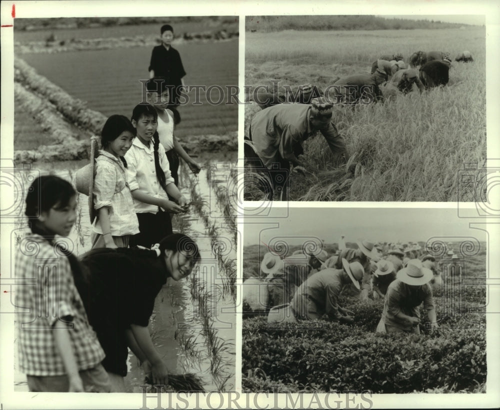 1985 Press Photo People work land in China in &quot;The Heart of the Dragon&quot; on PBS.- Historic Images