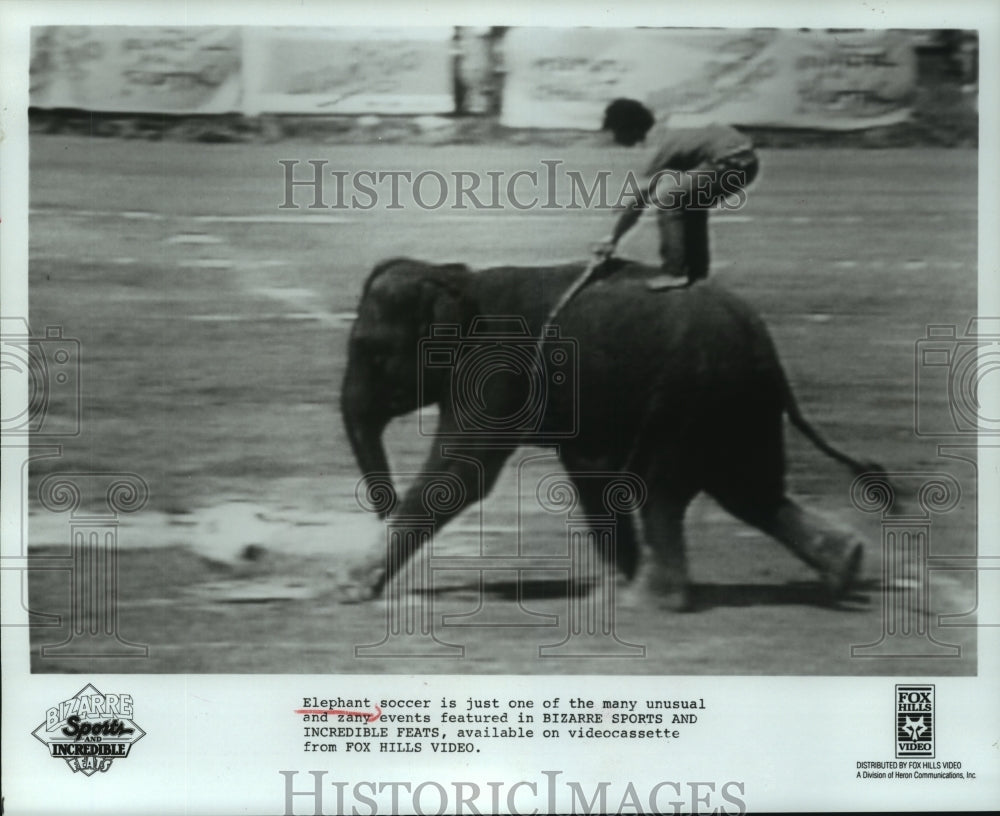 1987 Press Photo Elephant soccer featured in Bizarre Sports and Incredible Feats- Historic Images