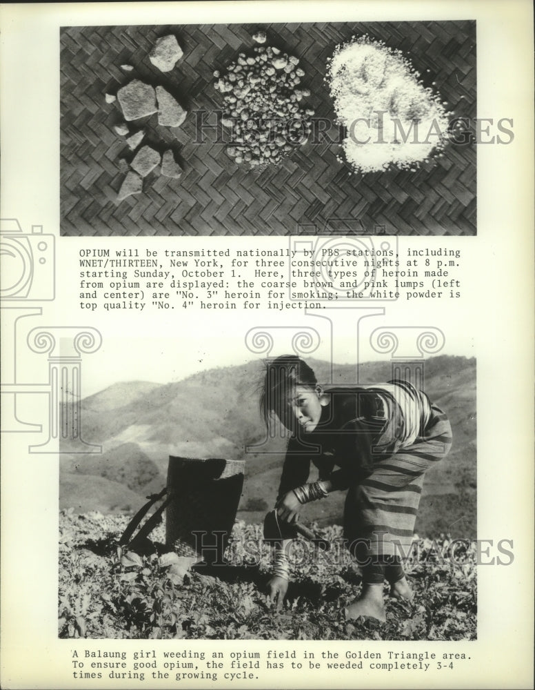 1978 Press Photo Types of heroin, and Balaung girl weeding opium field- Historic Images