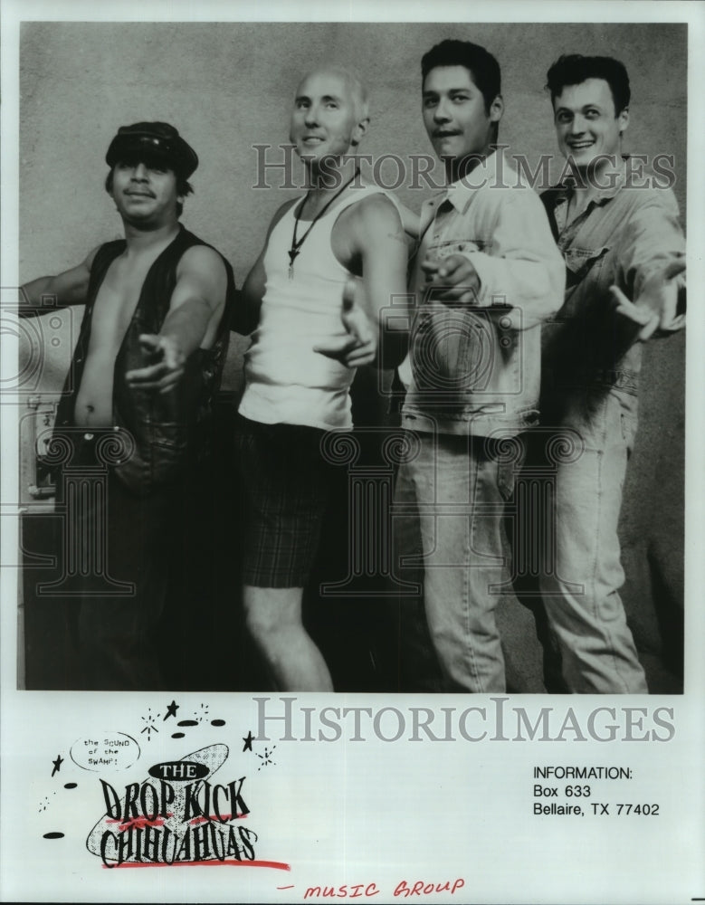 1995 Press Photo The Drop Kick Chihuahuas - hcp06375- Historic Images