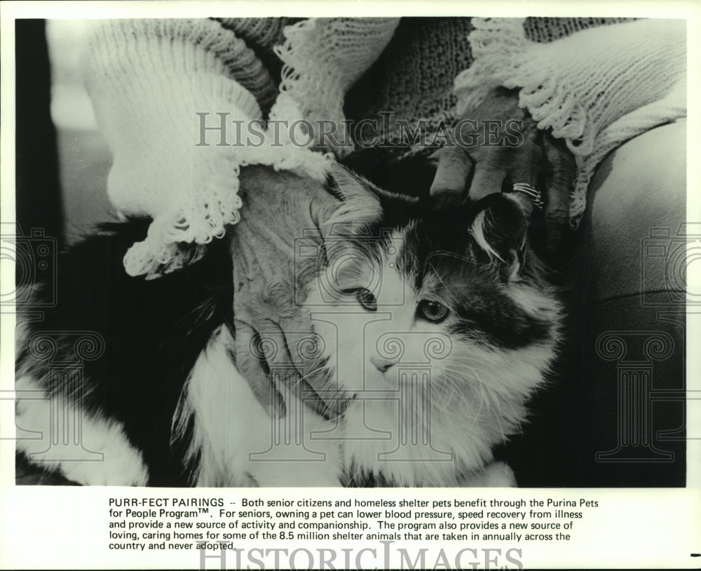 1987 Press Photo Senior citizen with a homeless shelter cat for companionship.- Historic Images