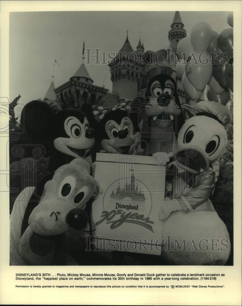 1985 Press Photo Characters celebrate Disneyland&#39;s 30th birthday - hcp08309- Historic Images