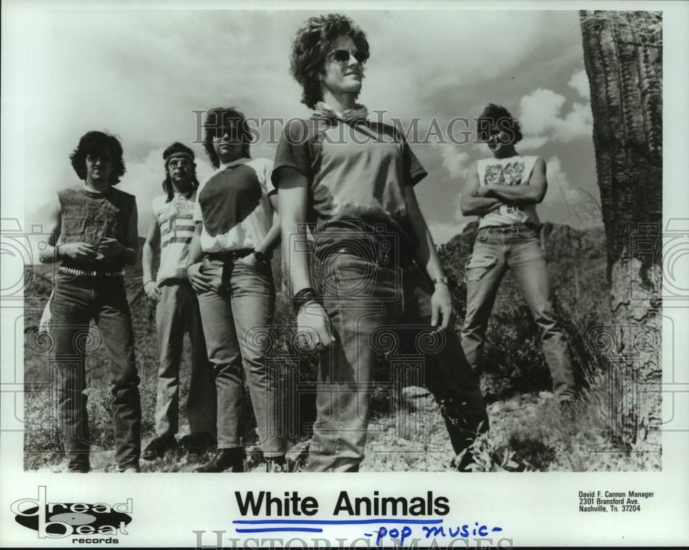 1986 Press Photo Pop music group White Animals - hcp09689- Historic Images