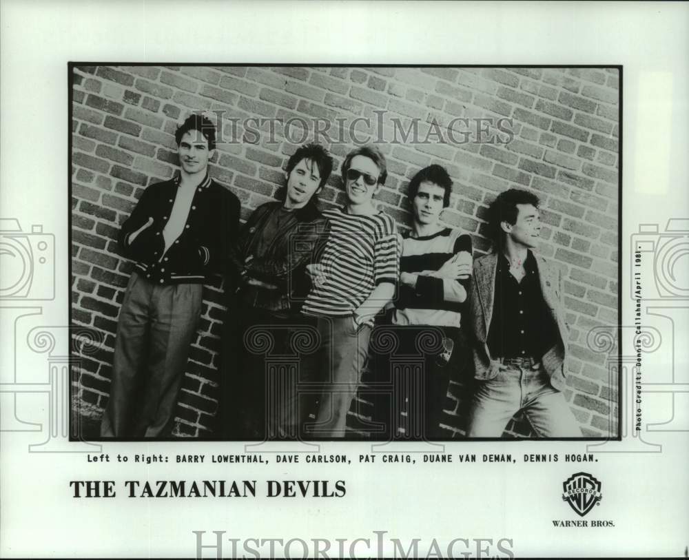 1981 Press Photo Pop Group "The Tazmanian Devils" - hcp10919- Historic Images