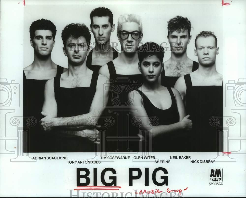 1988 Press Photo Swing/pop music group Big Pig. - hcp11510- Historic Images