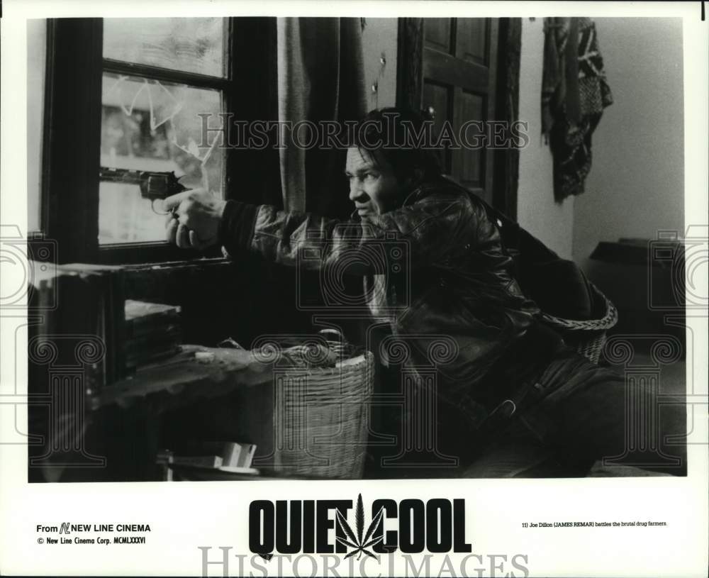 1986 Press Photo James Remar in a scene from Quiet Cool. - hcp51215- Historic Images