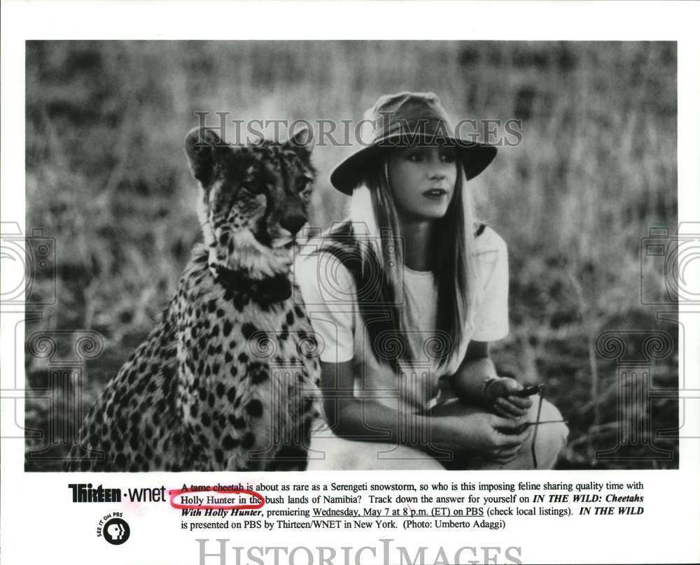 1997 Press Photo Actress Holly Hunter with Cheetah in &quot;In the Wild&quot; PBS Series- Historic Images