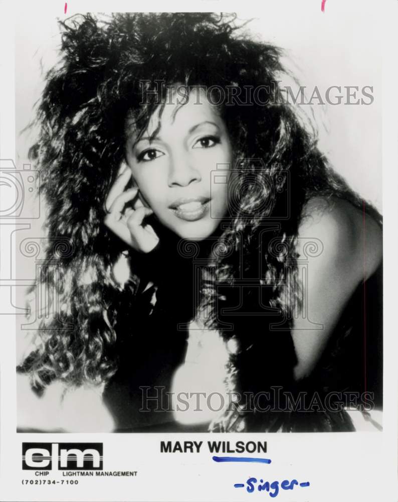 1993 Press Photo Singer Mary Wilson - hcq45210- Historic Images