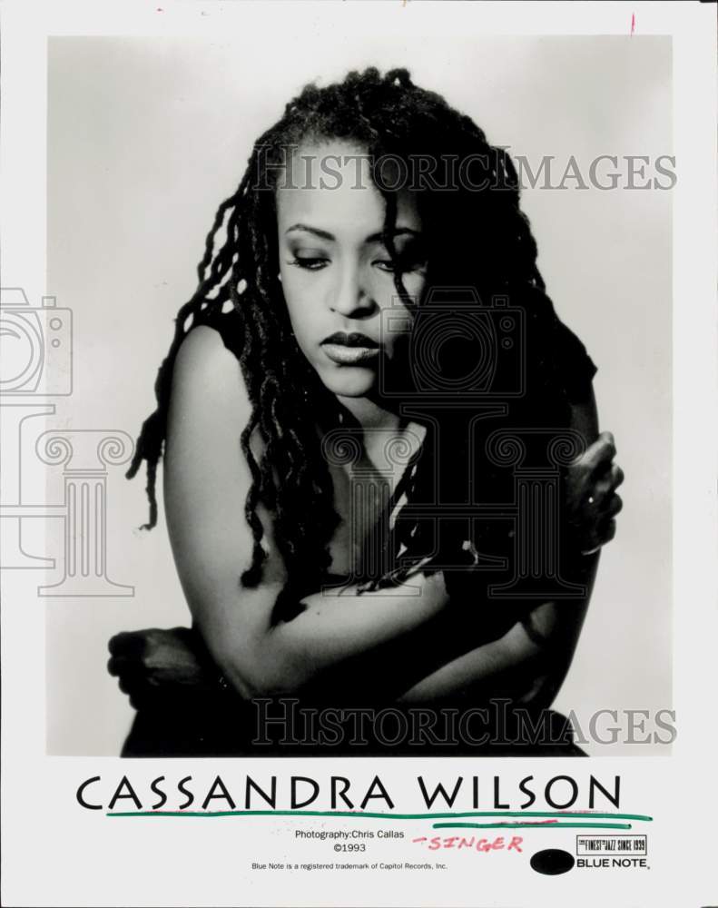 1993 Press Photo Singer Cassandra Wilson - hcq45215- Historic Images