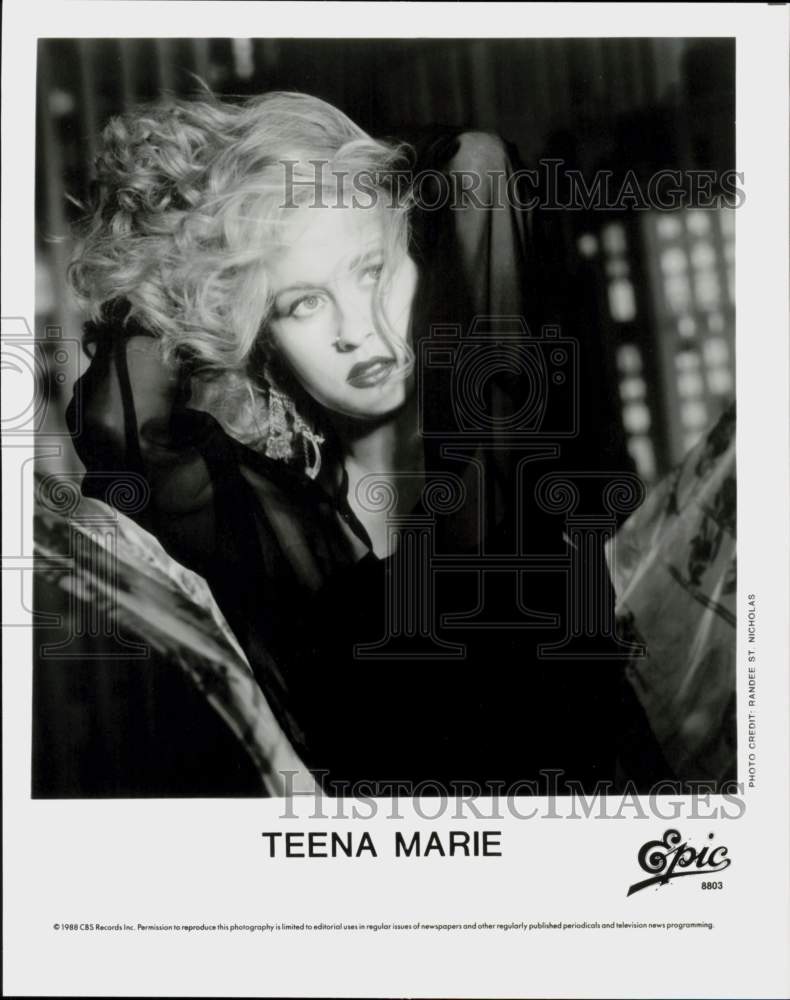 1988 Press Photo Singer Teena Marie - hcq45424- Historic Images