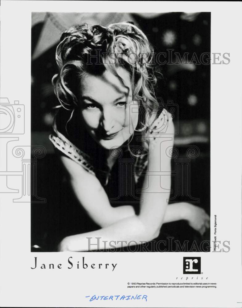 1993 Press Photo Entertainer Jane Siberry - hcq46145- Historic Images