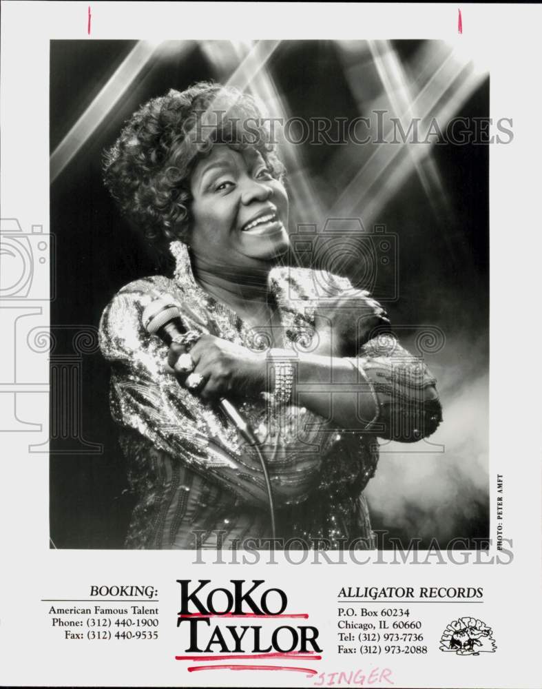 1993 Press Photo Singer Koko Taylor - hcq46354- Historic Images