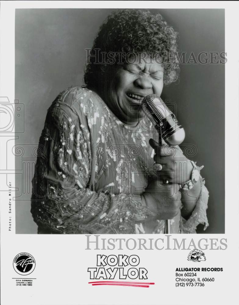 1990 Press Photo Singer Koko Taylor - hcq46355- Historic Images