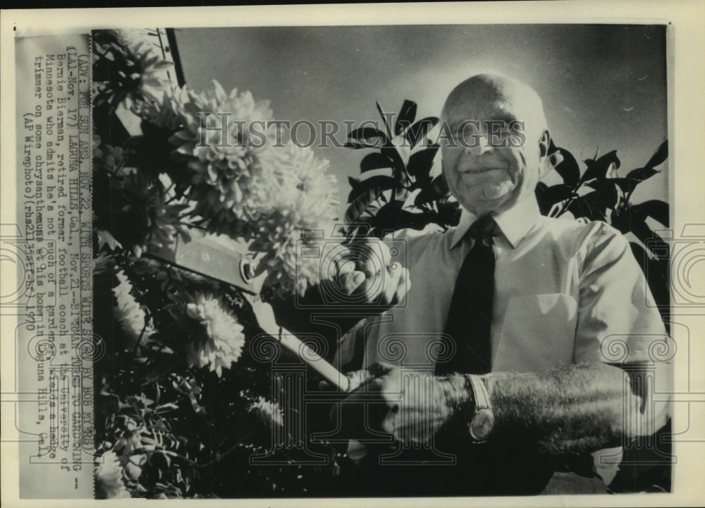 1970 Press Photo Barnie Bierman, former football coach turns gardener in CA.- Historic Images