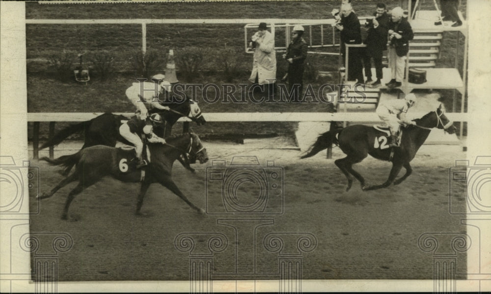 1966 Press Photo A race to the finish at Evangeline Downs, St. Landry Parish, LA- Historic Images