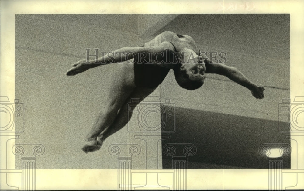 1980 Press Photo UH diver Debbie Hill to dive in Olympics for Zimbabwe.- Historic Images