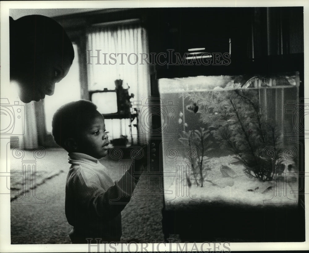 1978 Press Photo Cowboys Robert Newhouse and son look at fish tank in their home- Historic Images