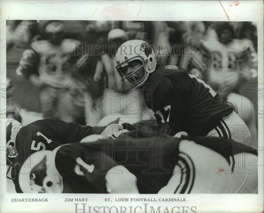 1974 Press Photo St. Louis Cardinals quarterback Jim Hart barks out signals.- Historic Images