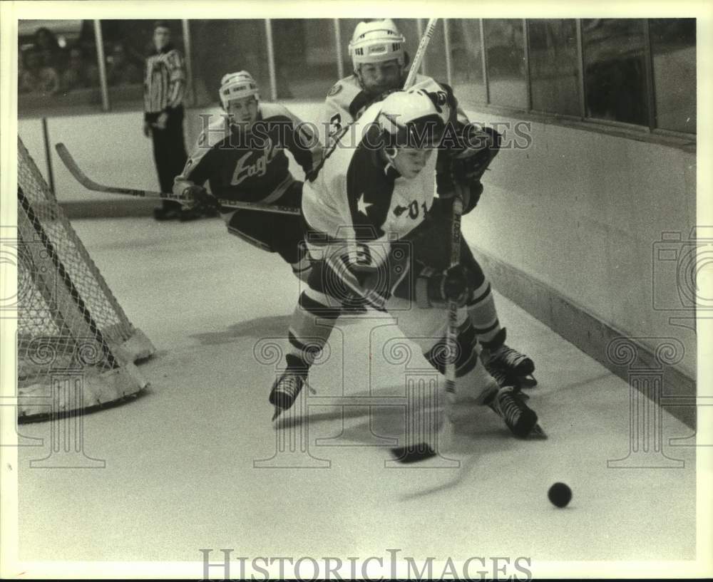 1979 Press Photo Houston Aeros hockey players Tom Roulston &amp; Glenn Irwin battle- Historic Images