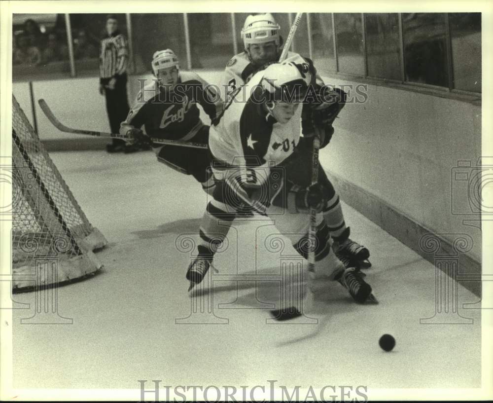 1979 Press Photo Houston Aeros hockey players Tom Roulston & Glenn Irwin battle- Historic Images