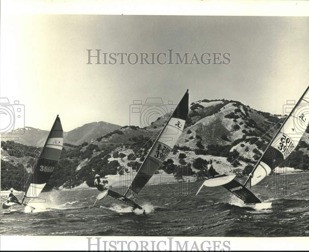 1987 Press Photo Hobie Cat race boats on the water - hcs25445- Historic Images