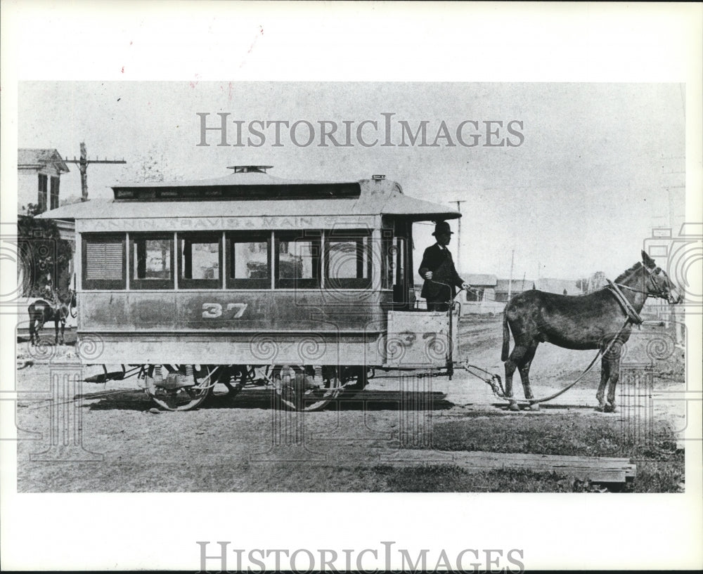 1986 Press Photo Original Streetcar Pulled by Horse - hcx01413- Historic Images