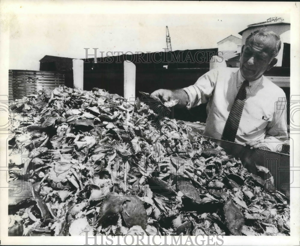 1988 Press Photo Robert Austin Milch inspects discarded crabshells, Maryland- Historic Images