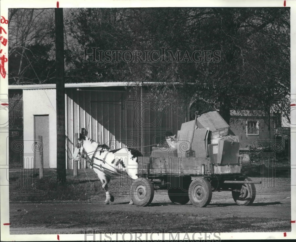 1981 Press Photo Horse pulls cart through the town of Daisetta, Texas