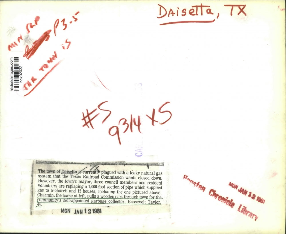 1981 Press Photo Horse pulls cart through the town of Daisetta, Texas