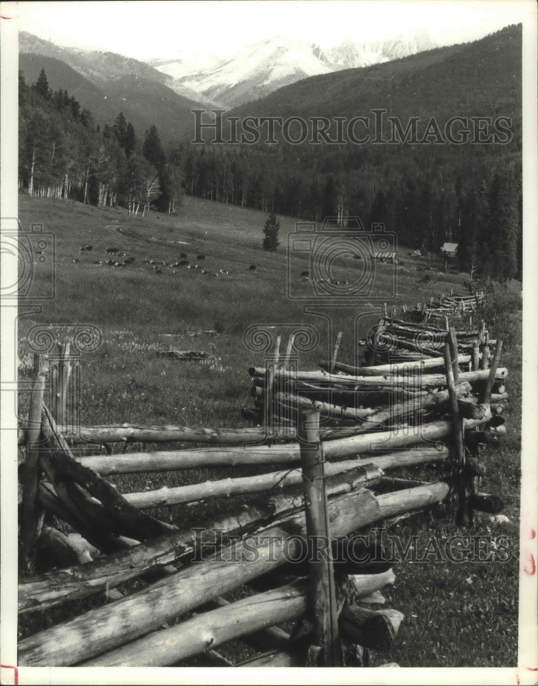 1978 Press Photo Mountains and Meadows in Colorado - hcx02221- Historic Images