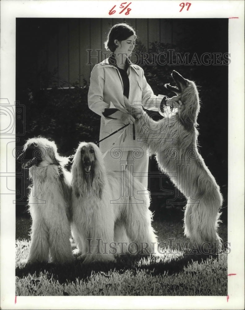 1974 Press Photo Billie Hill With Her Afghan Hounds - hcx02460- Historic Images