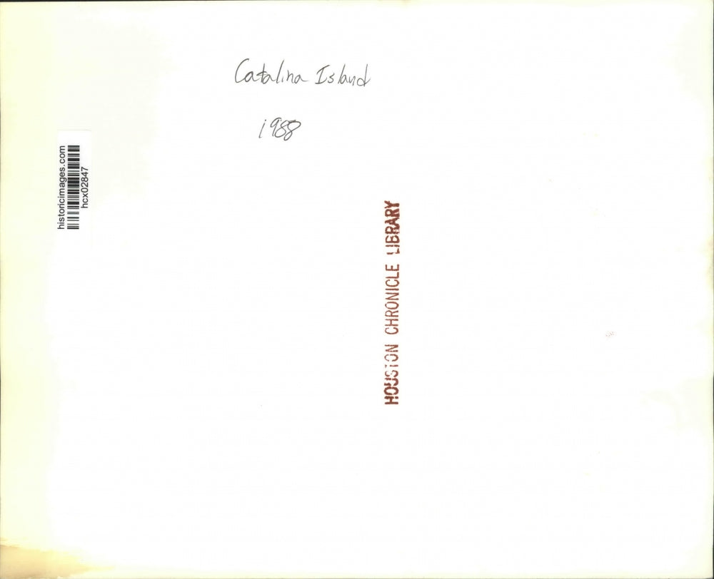 1988 Press Photo Golf Carts & Bicycles Share Street on Catalina Island.