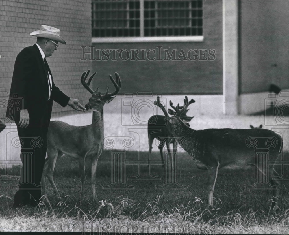 1968 Press Photo Ellis Warden, C.L. McAdams & Pet Deer at Ellis Farm Prison, TX- Historic Images