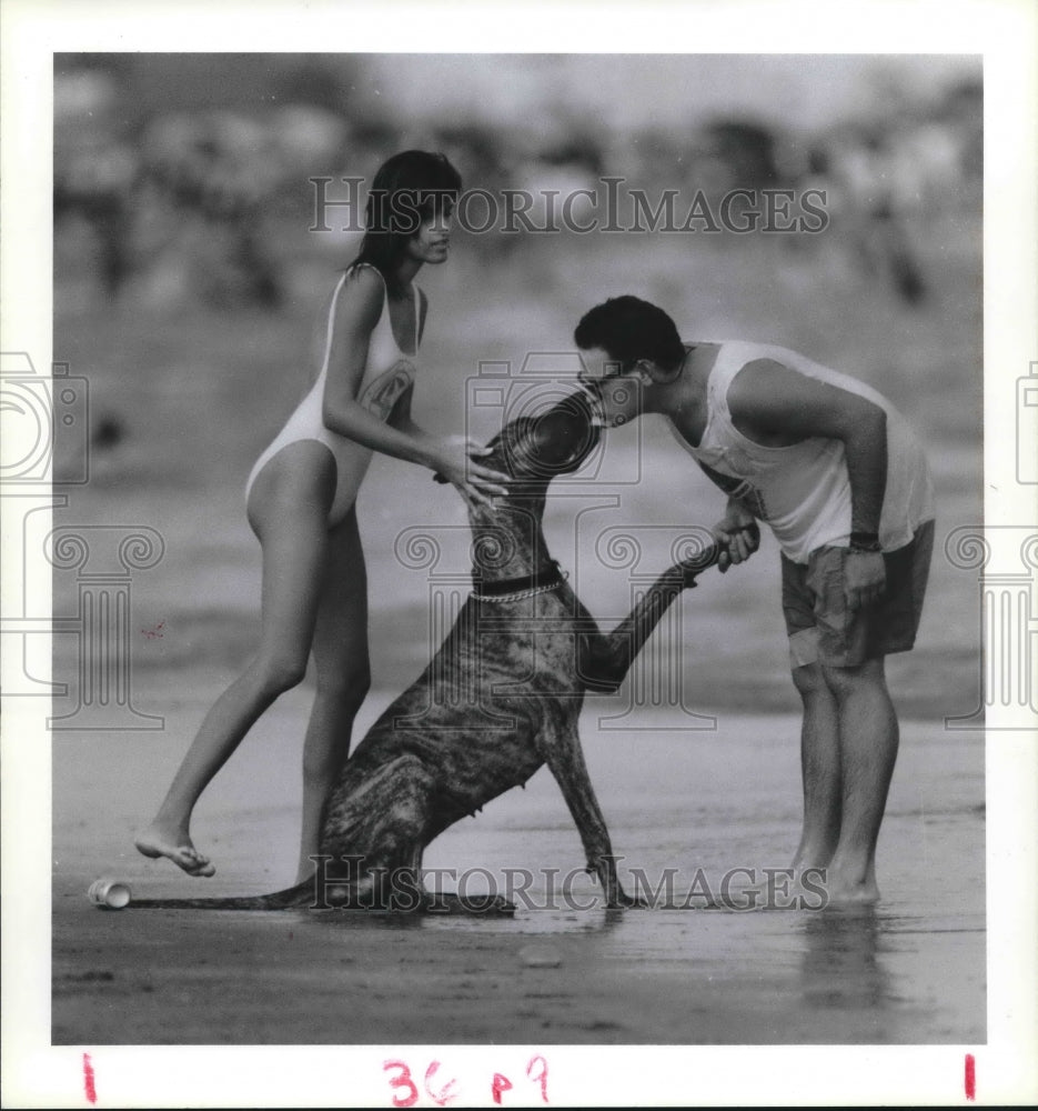 1987 Press Photo Sharon and Rick D'Amico Play with dog on Galveston, TX beach- Historic Images