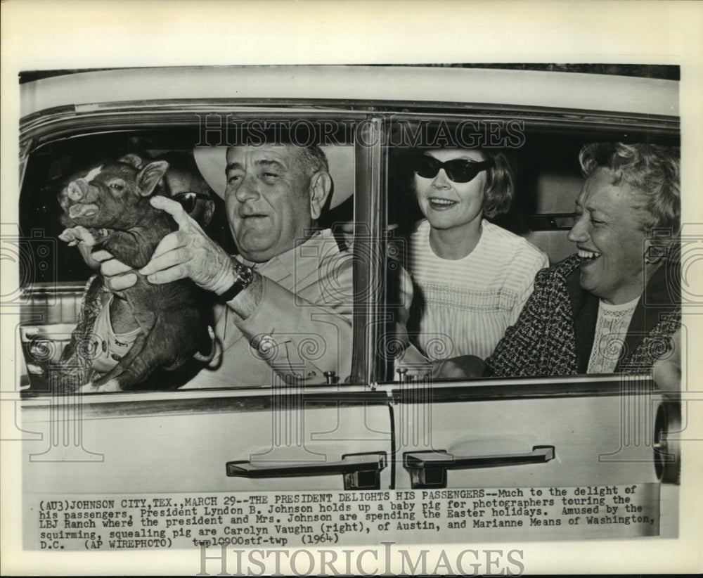 1964 Press Photo President Lyndon B. Johnson hold up the baby pig at LBJ Ranch