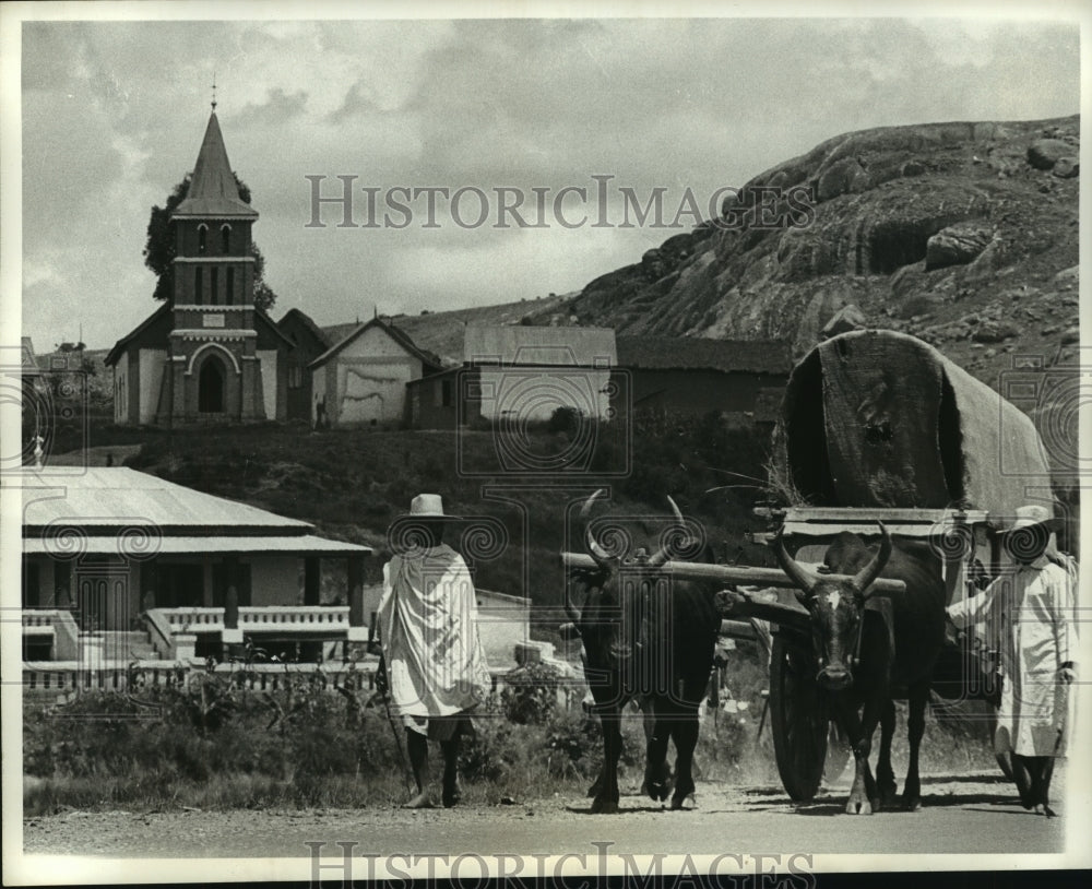1961 Press Photo Covered Wagon Leaders Guide Oxen Wagon in Malagasy Republic.