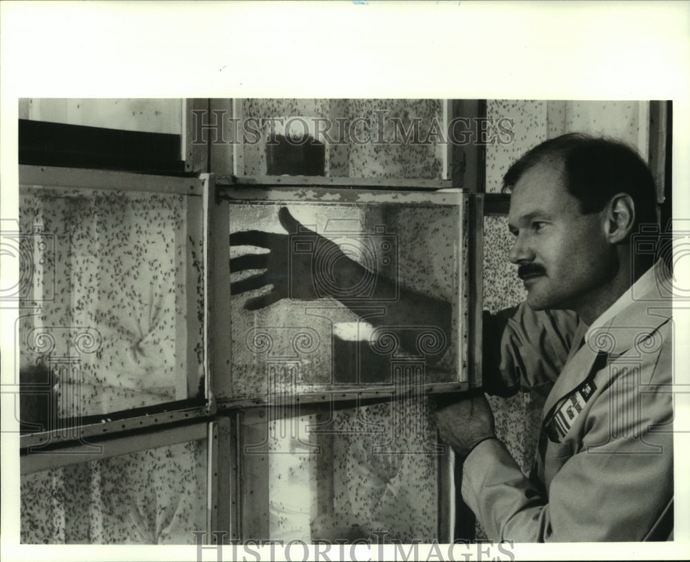 1992 Press Photo Dr. Dan Lawson puts his hand in mosquito cage to test OFF!