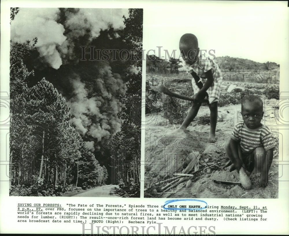 1987 Press Photo Forest Fire and Children on PBS' Only One Earth Episode