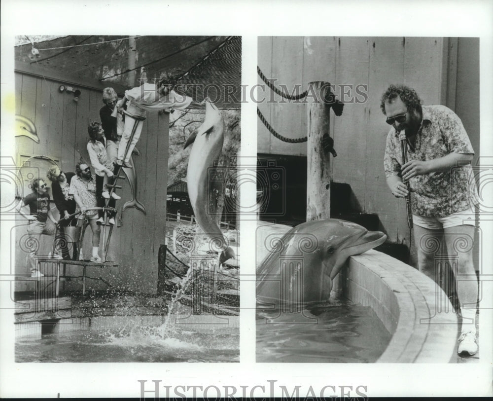 1986 Press Photo Porpoise performs at show and appears to listen to music- Historic Images
