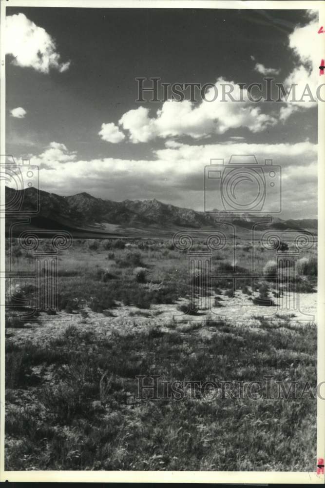 1990 Press Photo McQuerry Ranch in Nevada's Ruby Mountains - hcx17120