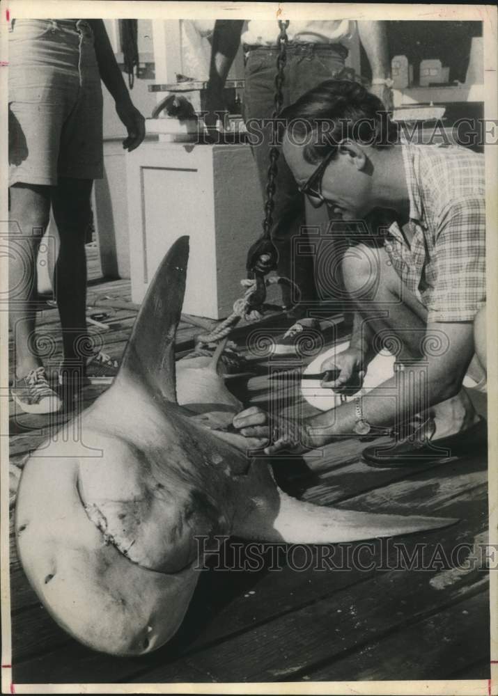 1969 Press Photo Yale University Dr. Jams E. Coleman Dissects Shark, Florida- Historic Images