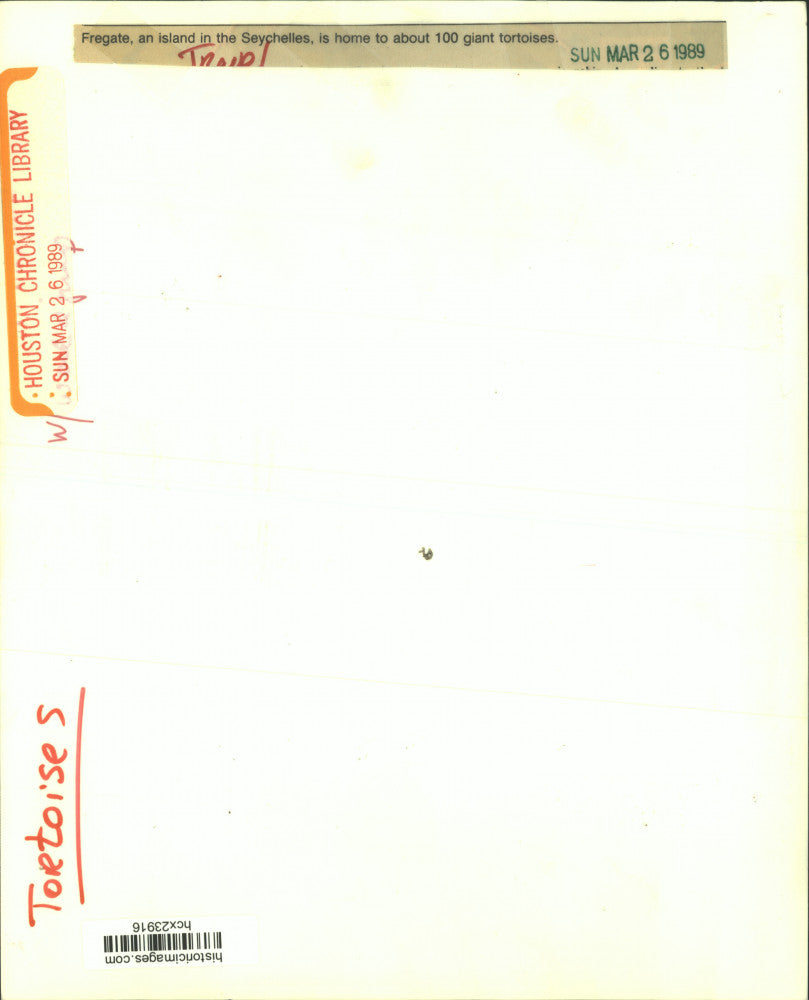 1989 Press Photo Woman with Giant Tortoise on Fregate Island in Seychelles