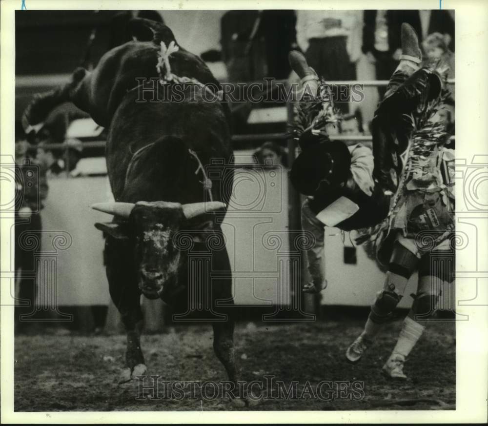 1989 Press Photo Leggs Stevenson of Houston, Texas rides bull in Houston Rodeo- Historic Images