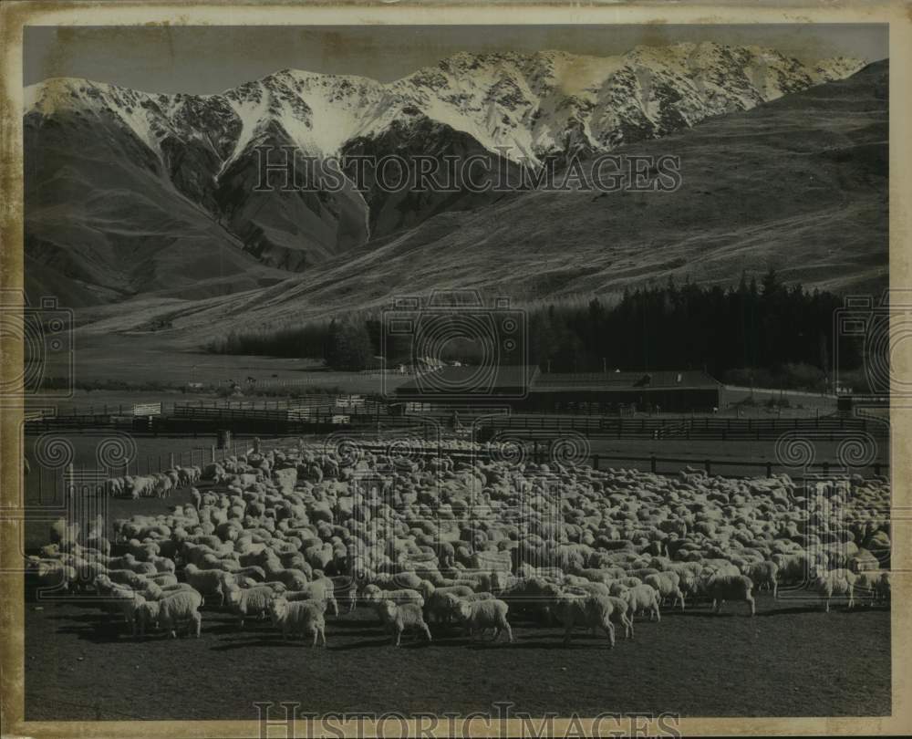 1967 Press Photo Glentanner sheep station on the South Island, New Zealand- Historic Images