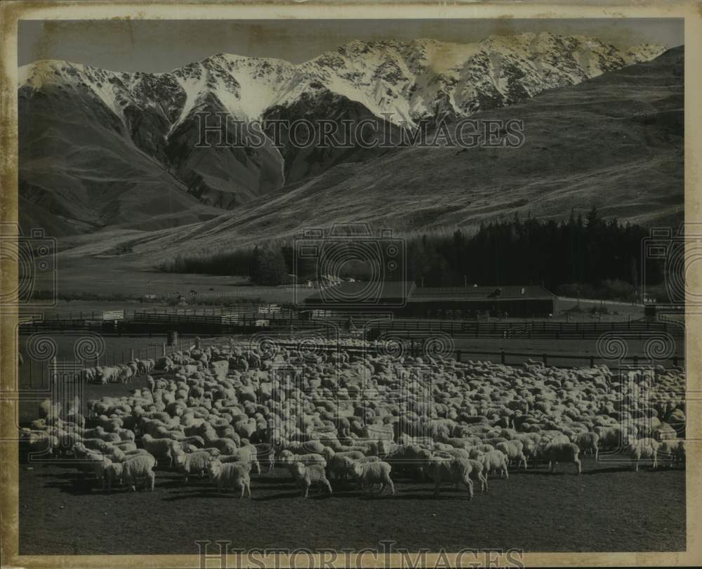1967 Press Photo Glentanner sheep station on the South Island, New Zealand- Historic Images