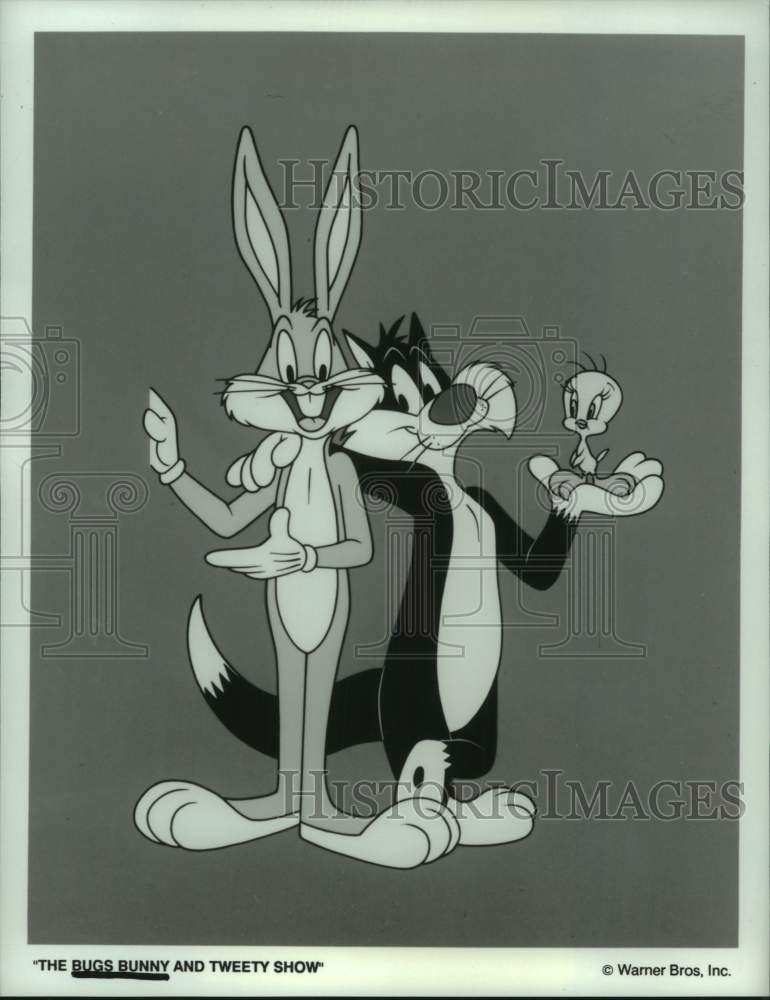 1988 Press Photo &quot;The Bugs Bunny and Tweety Show&quot; - Cartoon - hcx46051- Historic Images