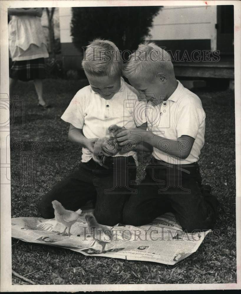 1959 Press Photo George and Tommy Stillion, twins, play with baby chicks in TX- Historic Images