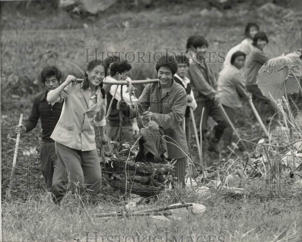 1984 Press Photo Commune laborers work in a lotus field in China - hcx55454- Historic Images